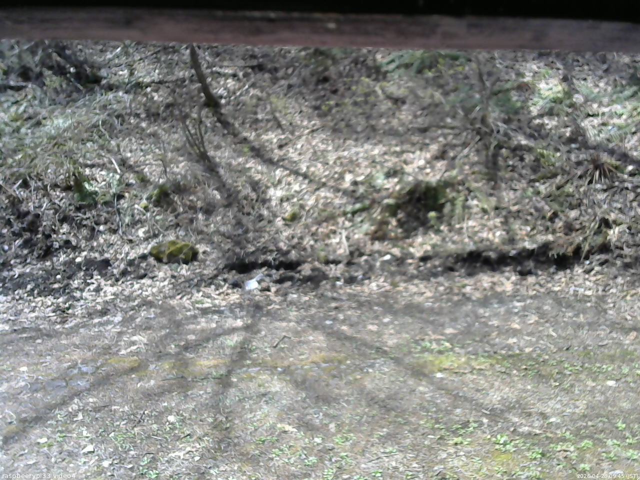 長野県菅平高原 ゆたか山荘 東側(坂下) 2026/04/28 09:45