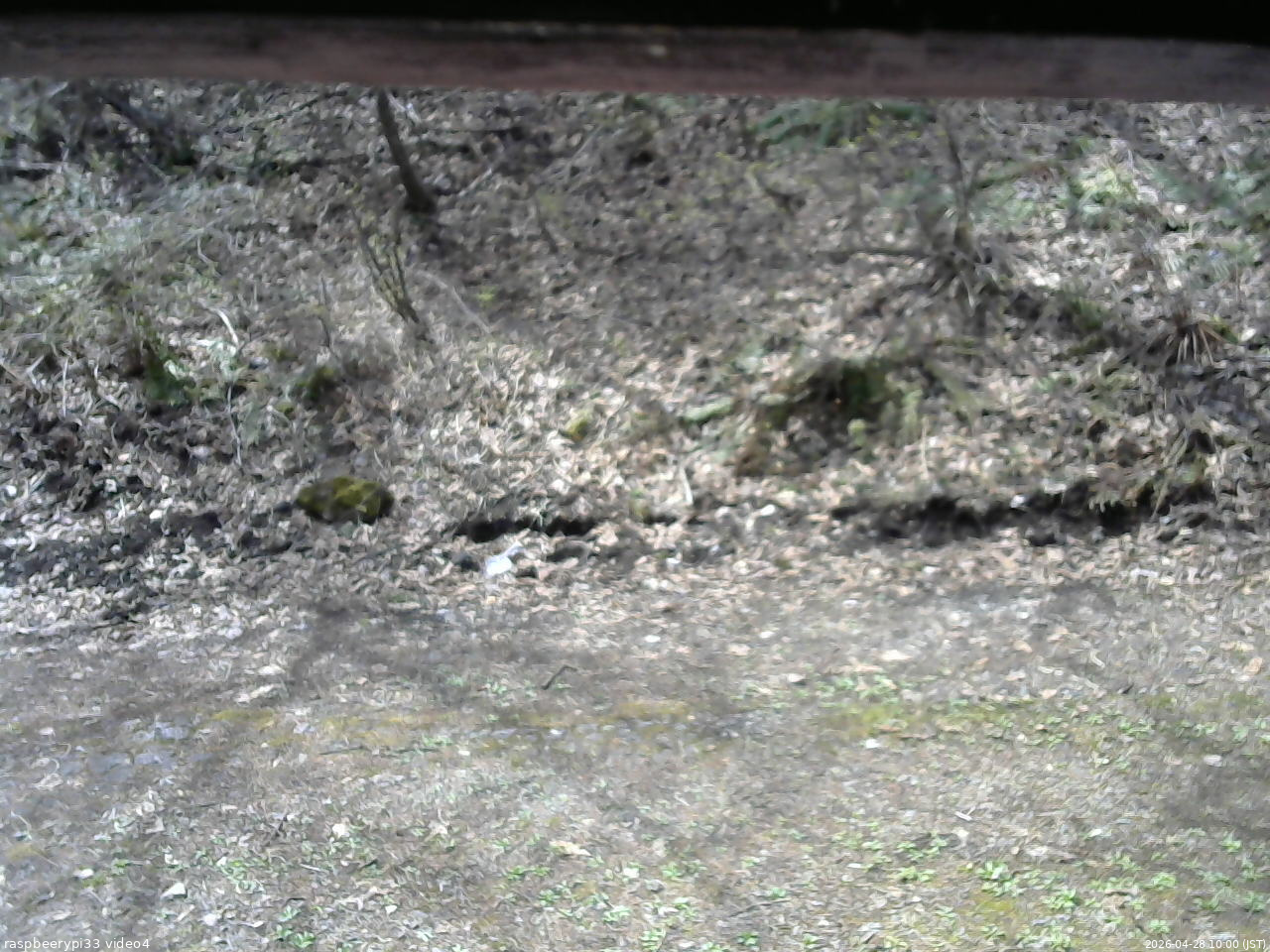 長野県菅平高原 ゆたか山荘 東側(坂下) 2026/04/28 10:00