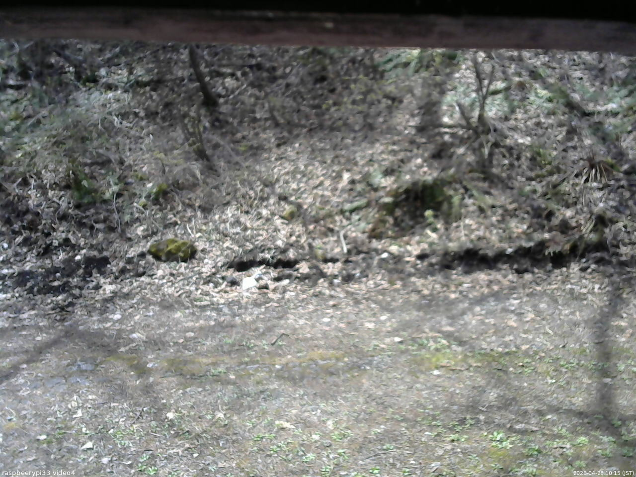 長野県菅平高原 ゆたか山荘 東側(坂下) 2026/04/28 10:15