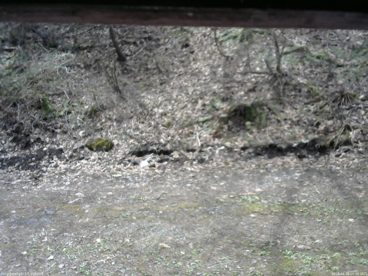 長野県菅平高原 ゆたか山荘 東側(坂下) 2026/04/28 10:30