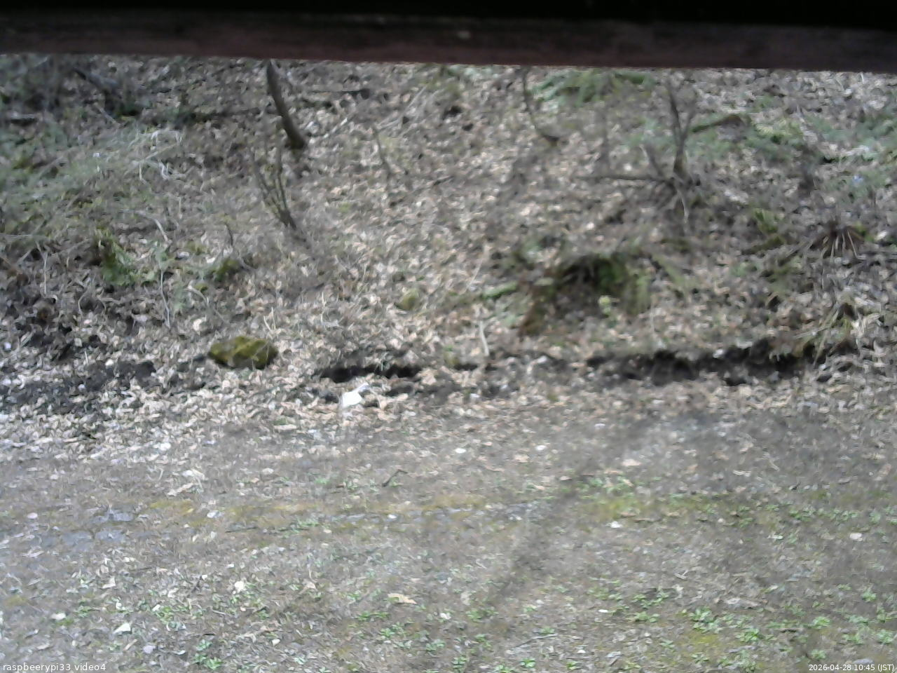 長野県菅平高原 ゆたか山荘 東側(坂下) 2026/04/28 10:45