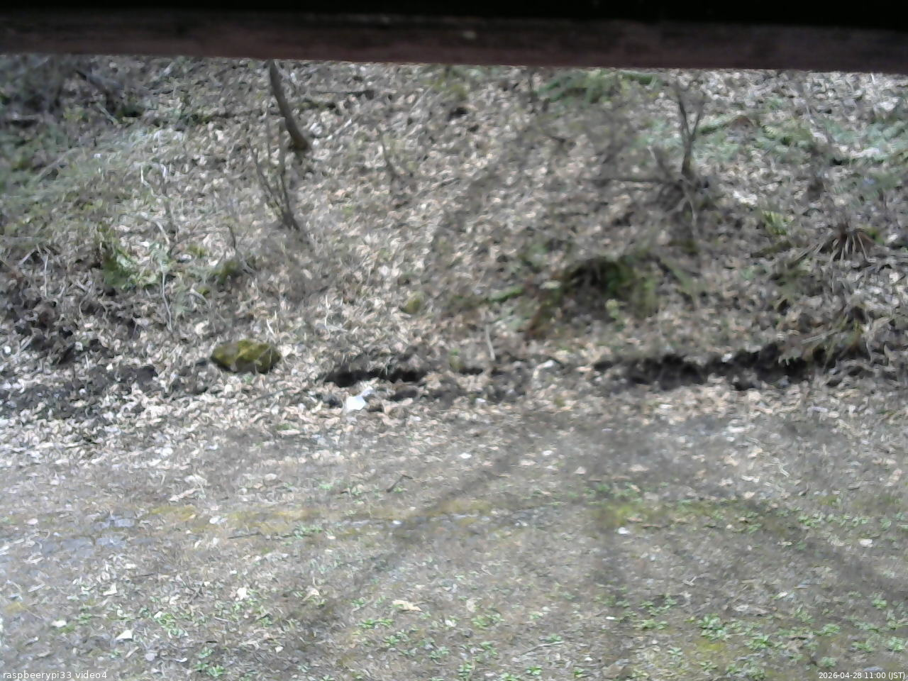 長野県菅平高原 ゆたか山荘 東側(坂下) 2026/04/28 11:00