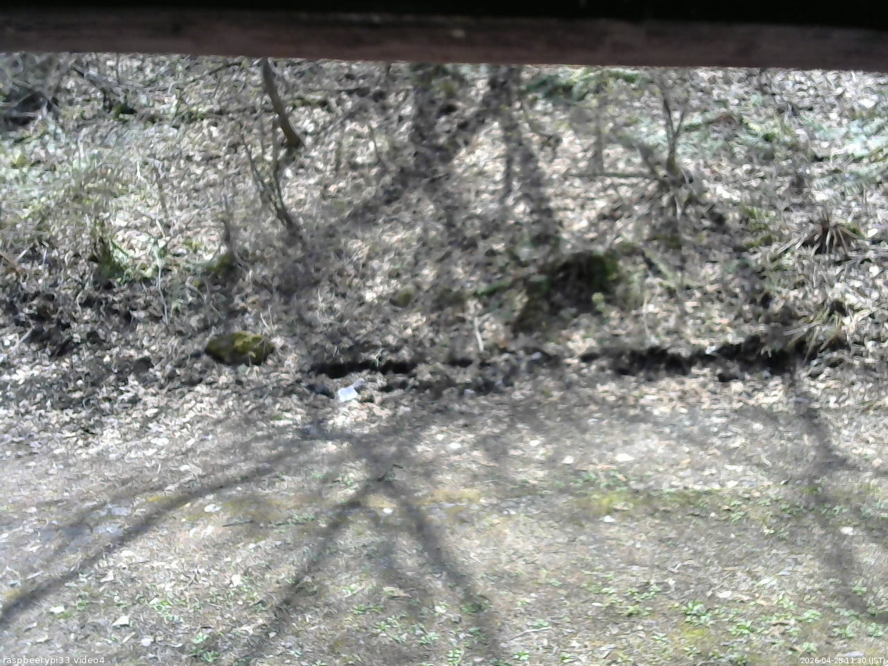 長野県菅平高原 ゆたか山荘 東側(坂下) 2026/04/28 11:30