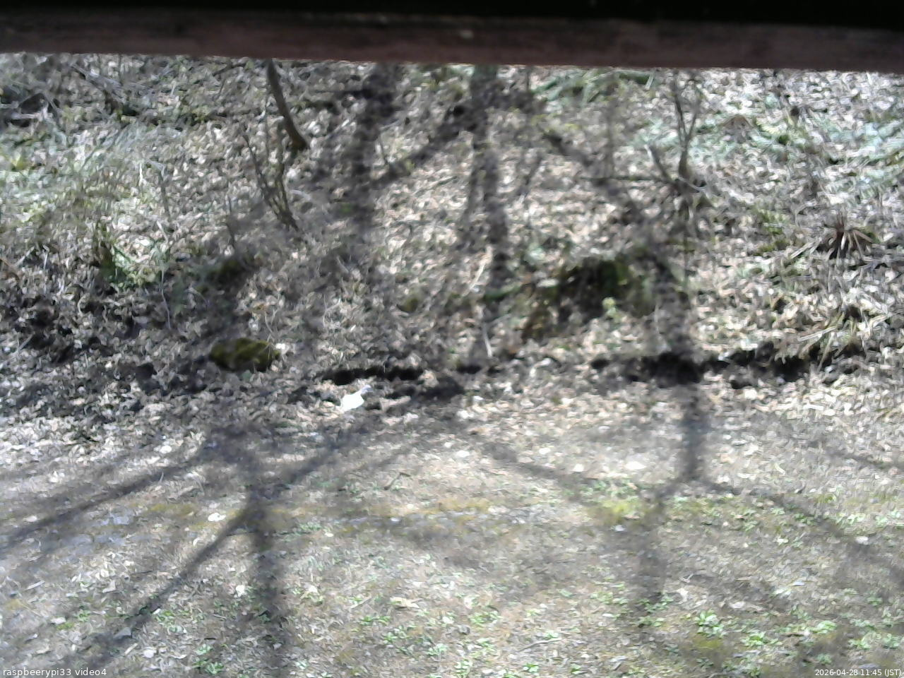 長野県菅平高原 ゆたか山荘 東側(坂下) 2026/04/28 11:45