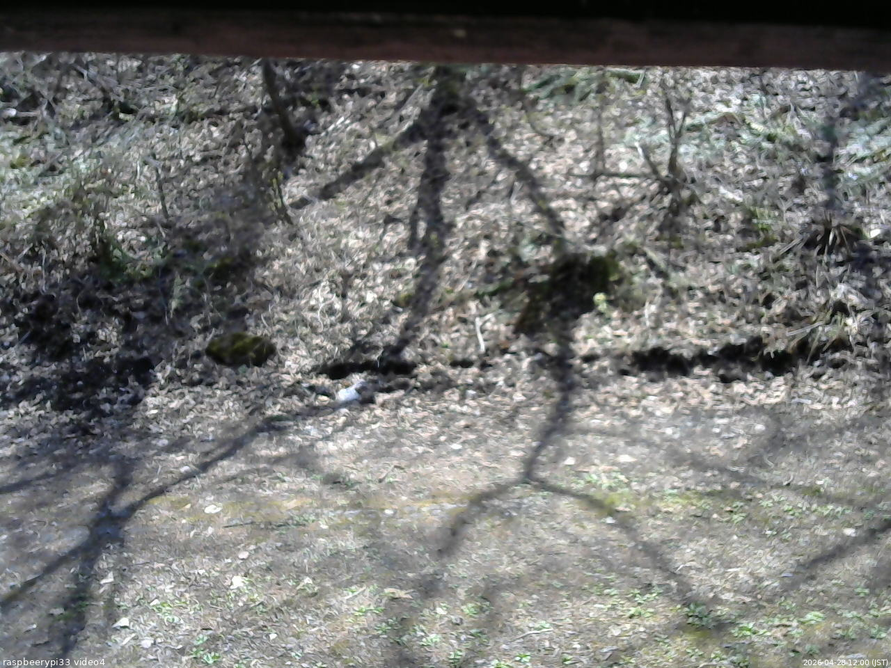 長野県菅平高原 ゆたか山荘 東側(坂下) 2026/04/28 12:00