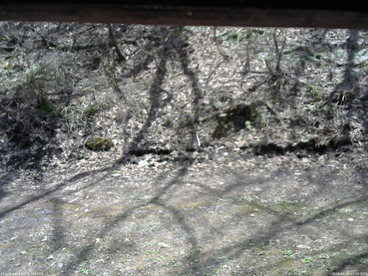長野県菅平高原 ゆたか山荘 東側(坂下) 2026/04/28 12:15