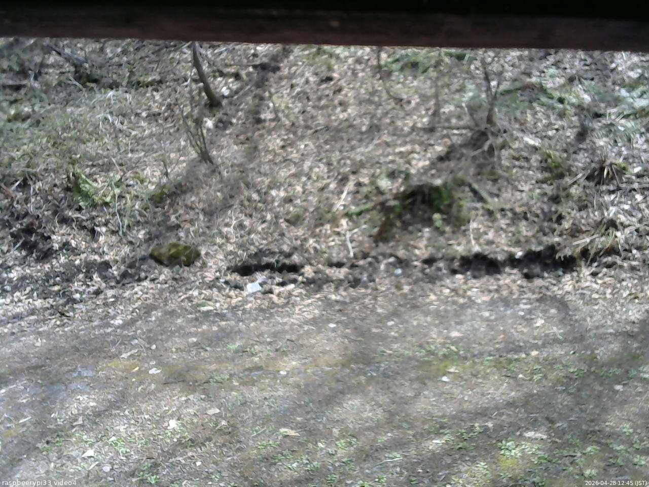 長野県菅平高原 ゆたか山荘 東側(坂下) 2026/04/28 12:45