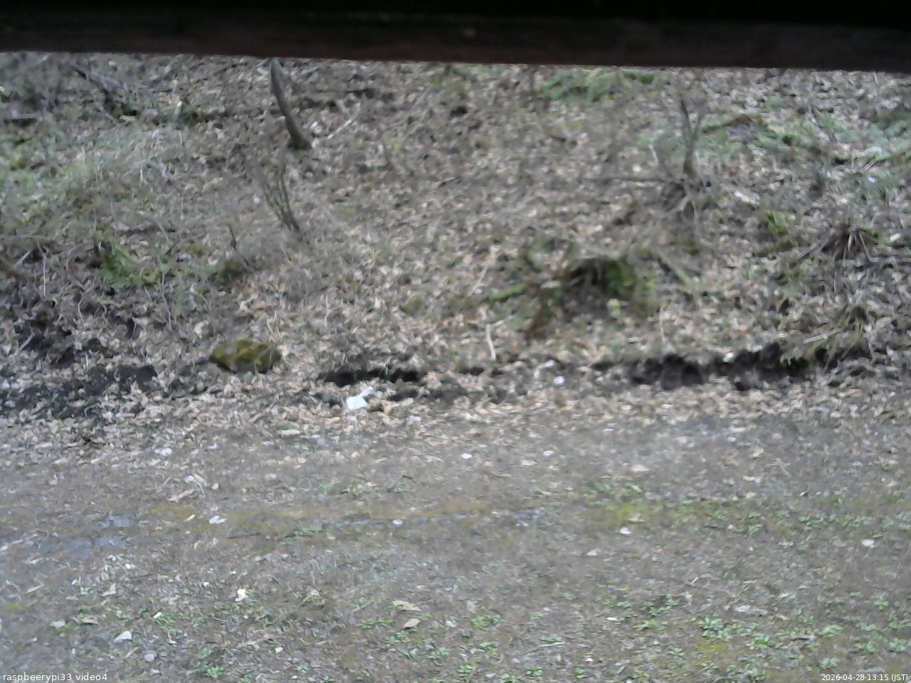 長野県菅平高原 ゆたか山荘 東側(坂下) 2026/04/28 13:15