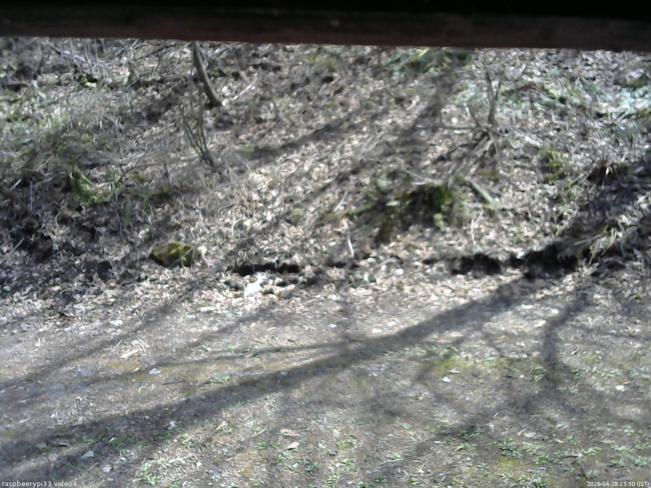 長野県菅平高原 ゆたか山荘 東側(坂下) 2026/04/28 13:30