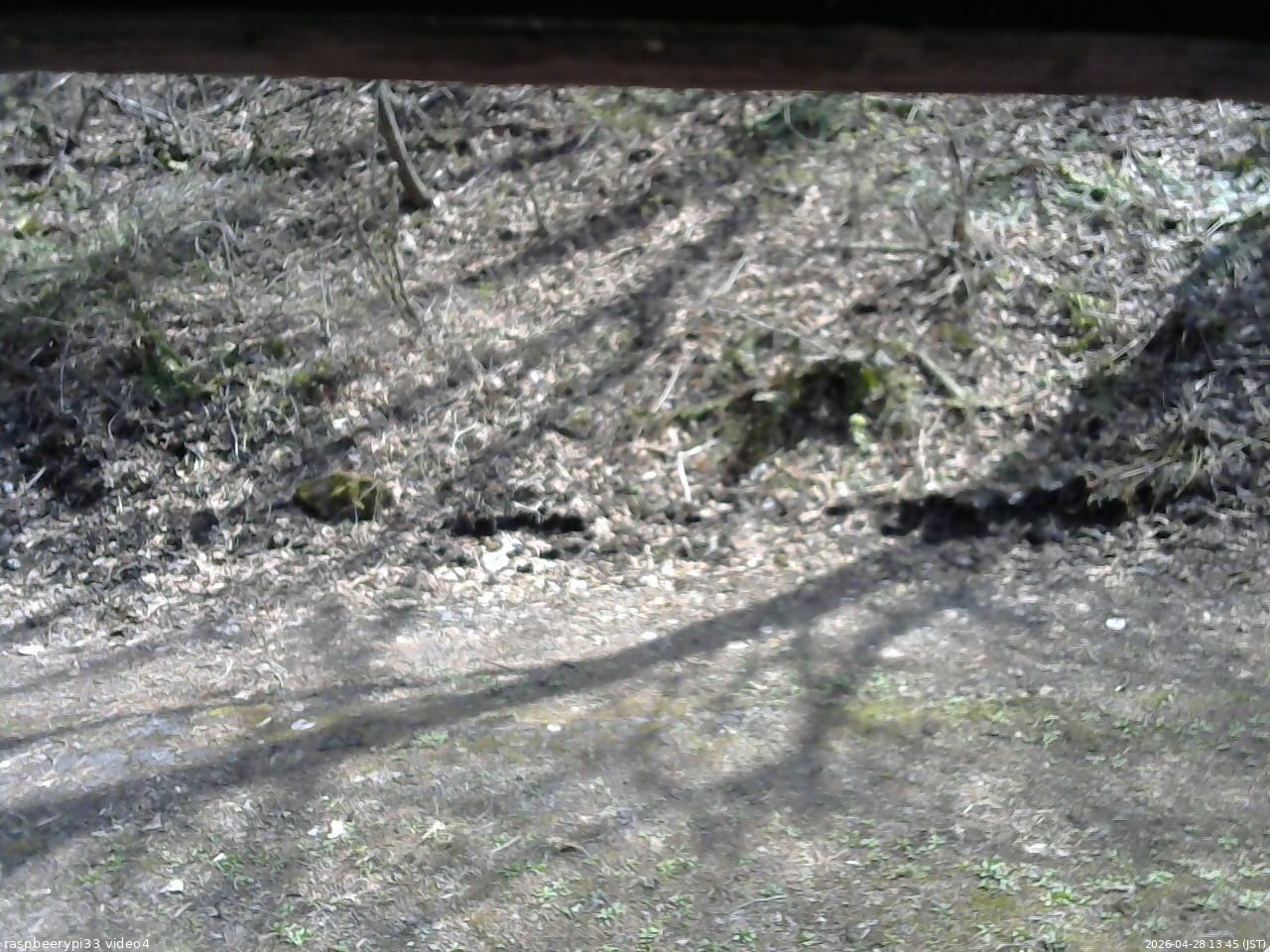 長野県菅平高原 ゆたか山荘 東側(坂下) 2026/04/28 13:45