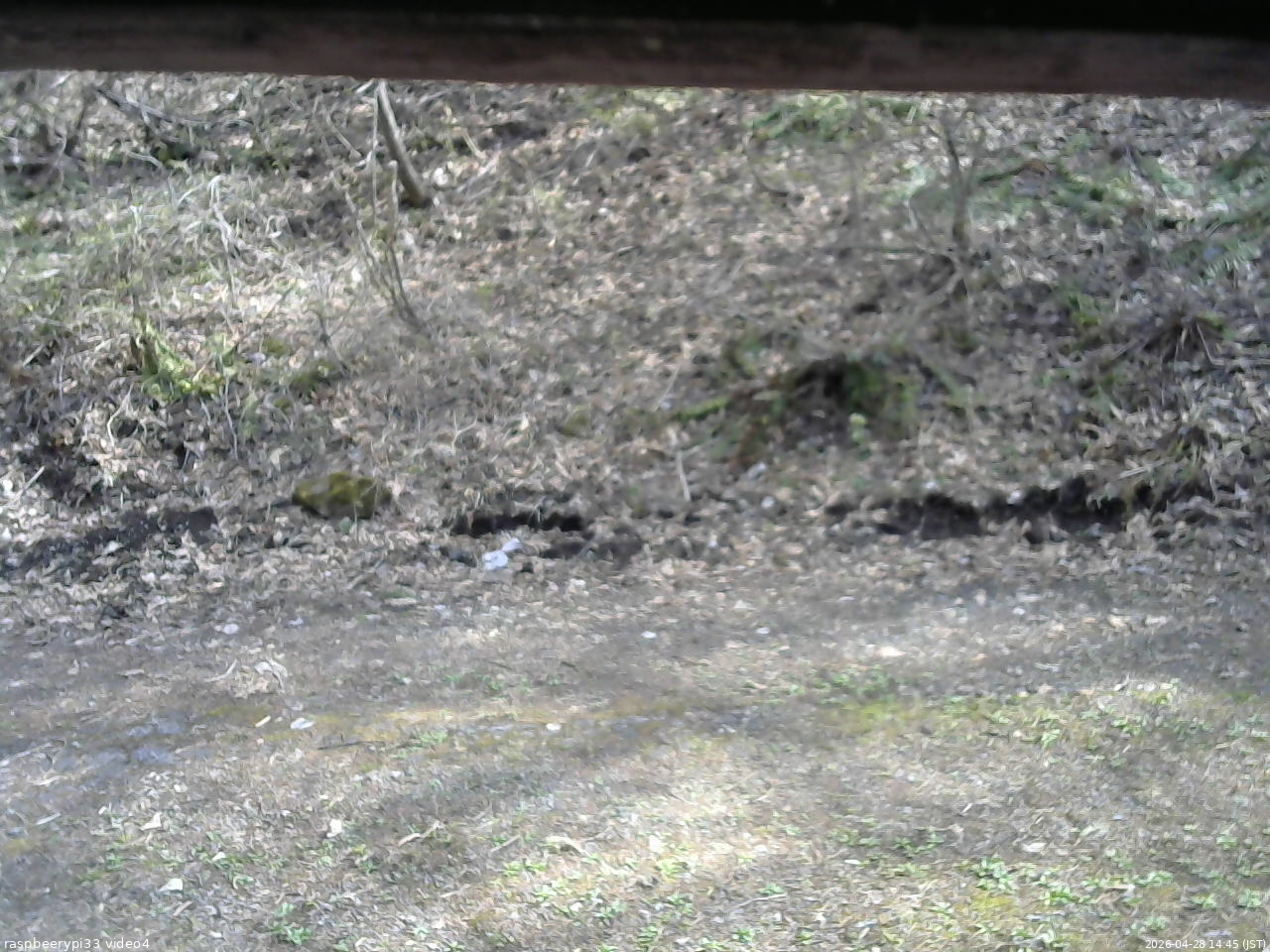 長野県菅平高原 ゆたか山荘 東側(坂下) 2026/04/28 14:45