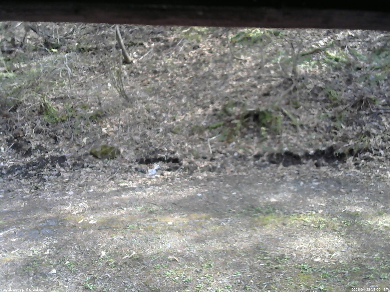 長野県菅平高原 ゆたか山荘 東側(坂下) 2026/04/28 15:00