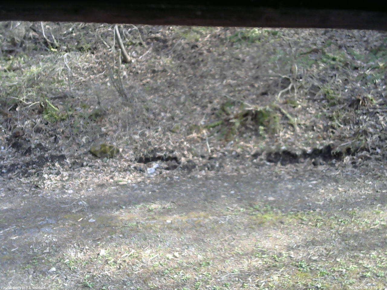 長野県菅平高原 ゆたか山荘 東側(坂下) 2026/04/28 15:30