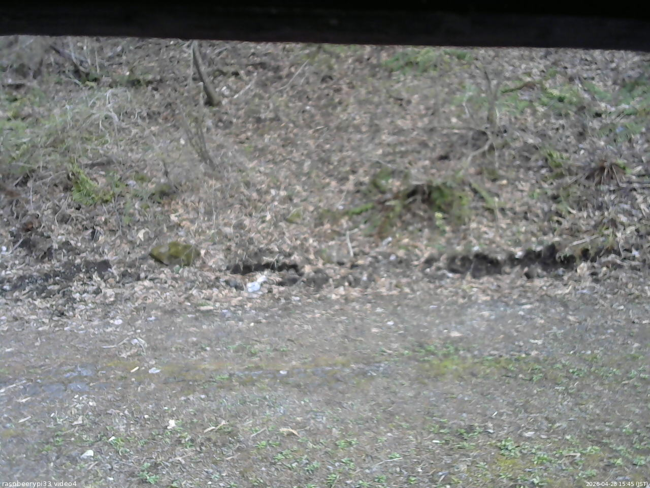 長野県菅平高原 ゆたか山荘 東側(坂下) 2026/04/28 15:45