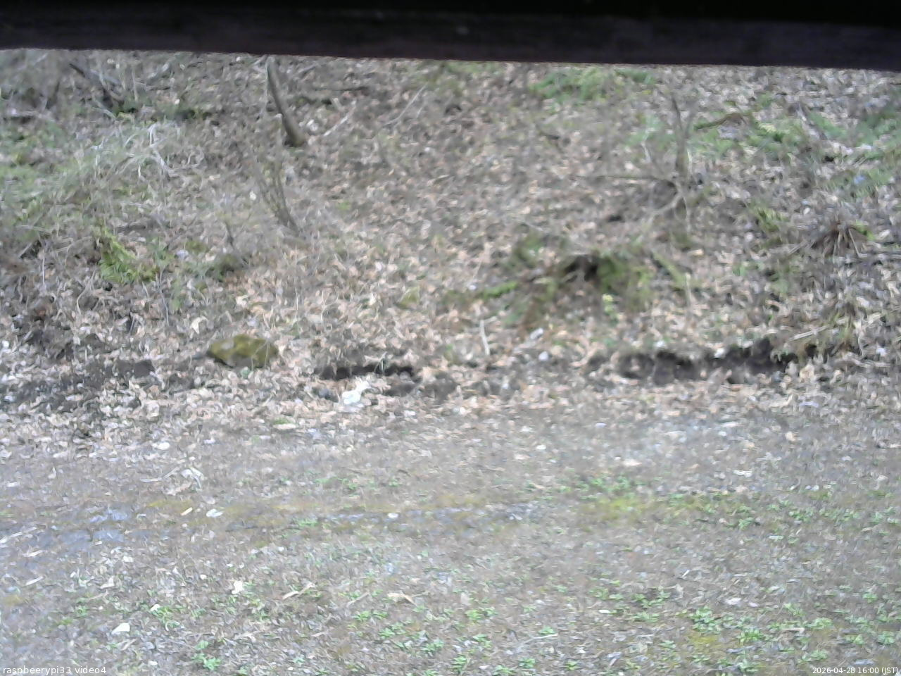 長野県菅平高原 ゆたか山荘 東側(坂下) 2026/04/28 16:00