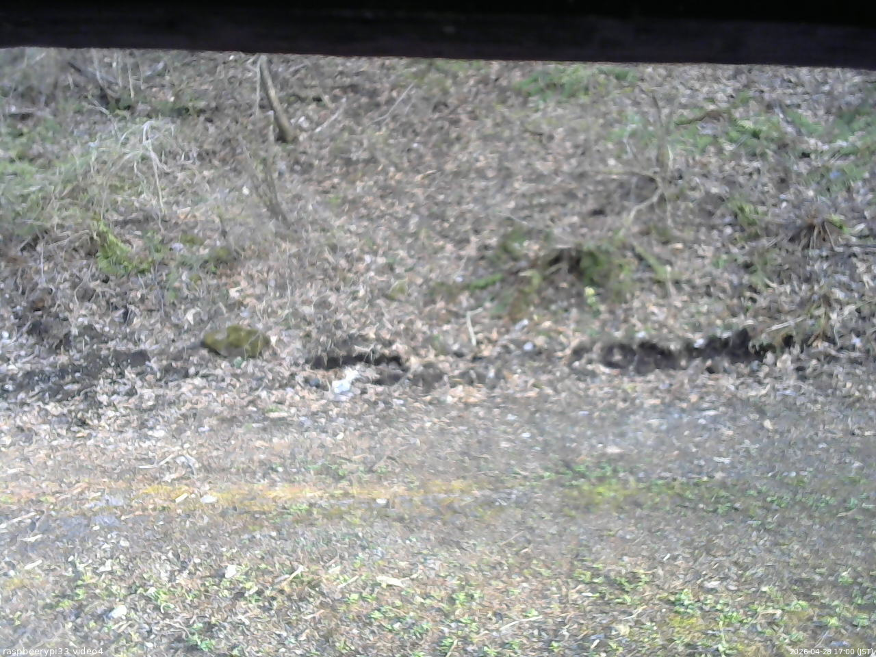 長野県菅平高原 ゆたか山荘 東側(坂下) 2026/04/28 17:00