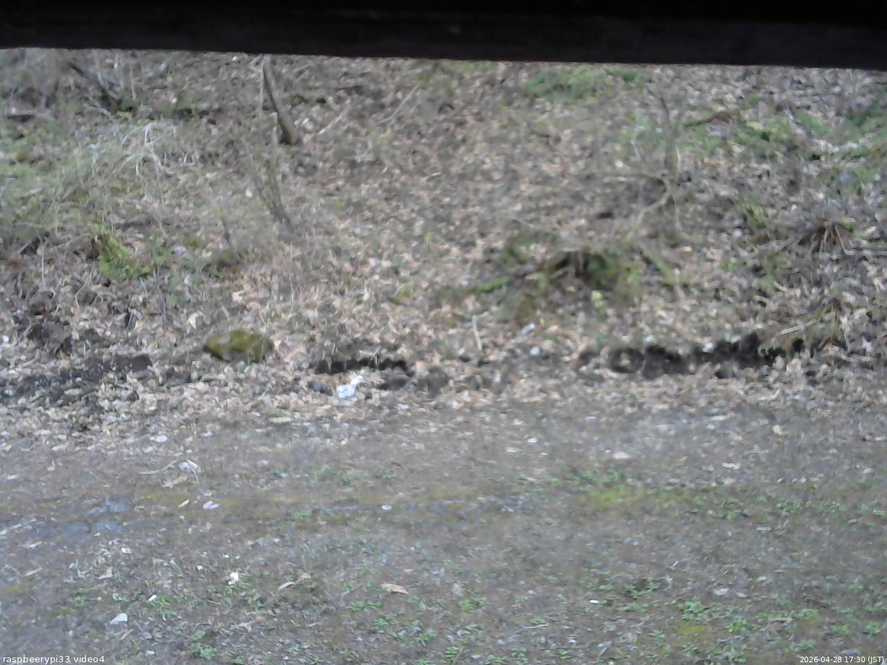 長野県菅平高原 ゆたか山荘 東側(坂下) 2026/04/28 17:30