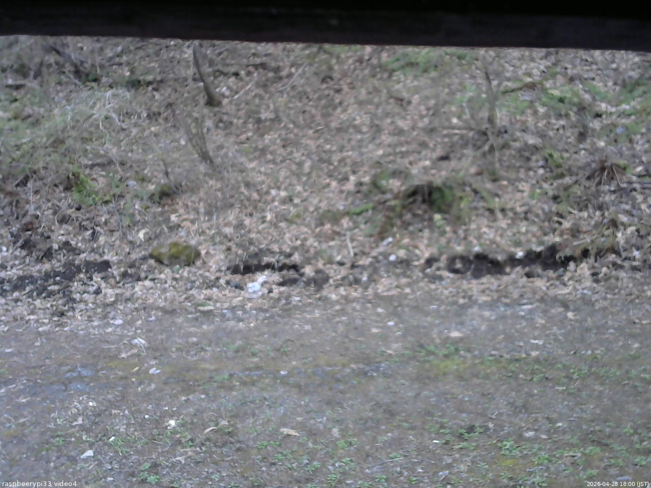 長野県菅平高原 ゆたか山荘 東側(坂下) 2026/04/28 18:00