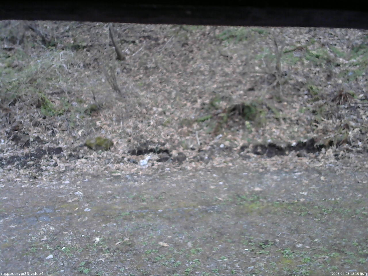 長野県菅平高原 ゆたか山荘 東側(坂下) 2026/04/28 18:15