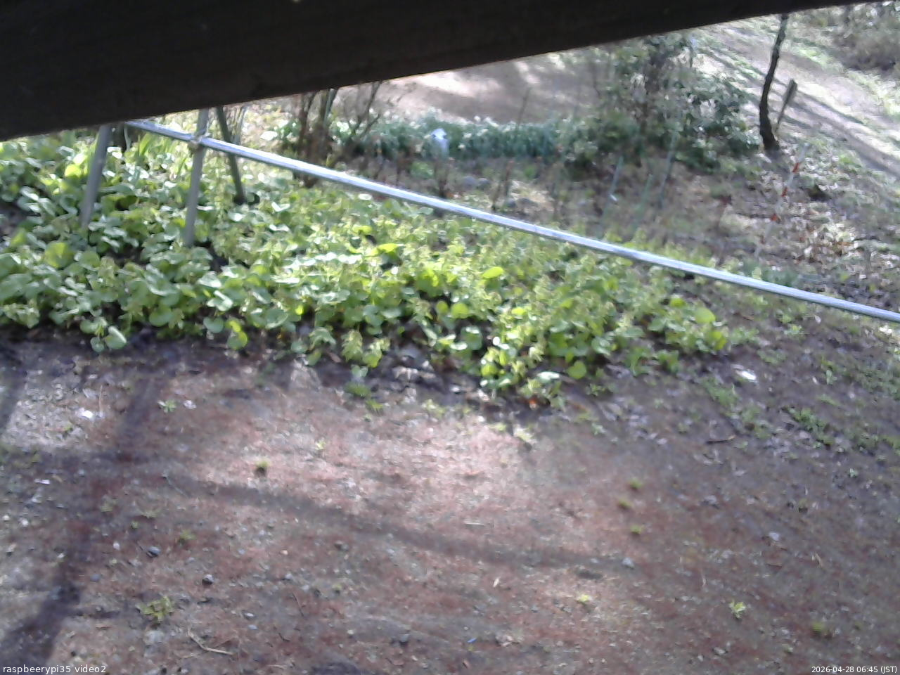 長野県菅平高原 ゆたか山荘 駐車場 2026/04/28 06:45