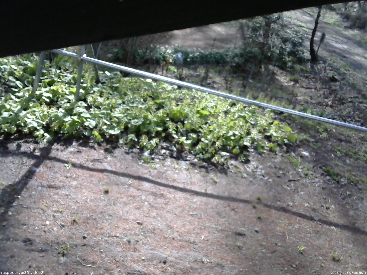 長野県菅平高原 ゆたか山荘 駐車場 2026/04/28 07:30