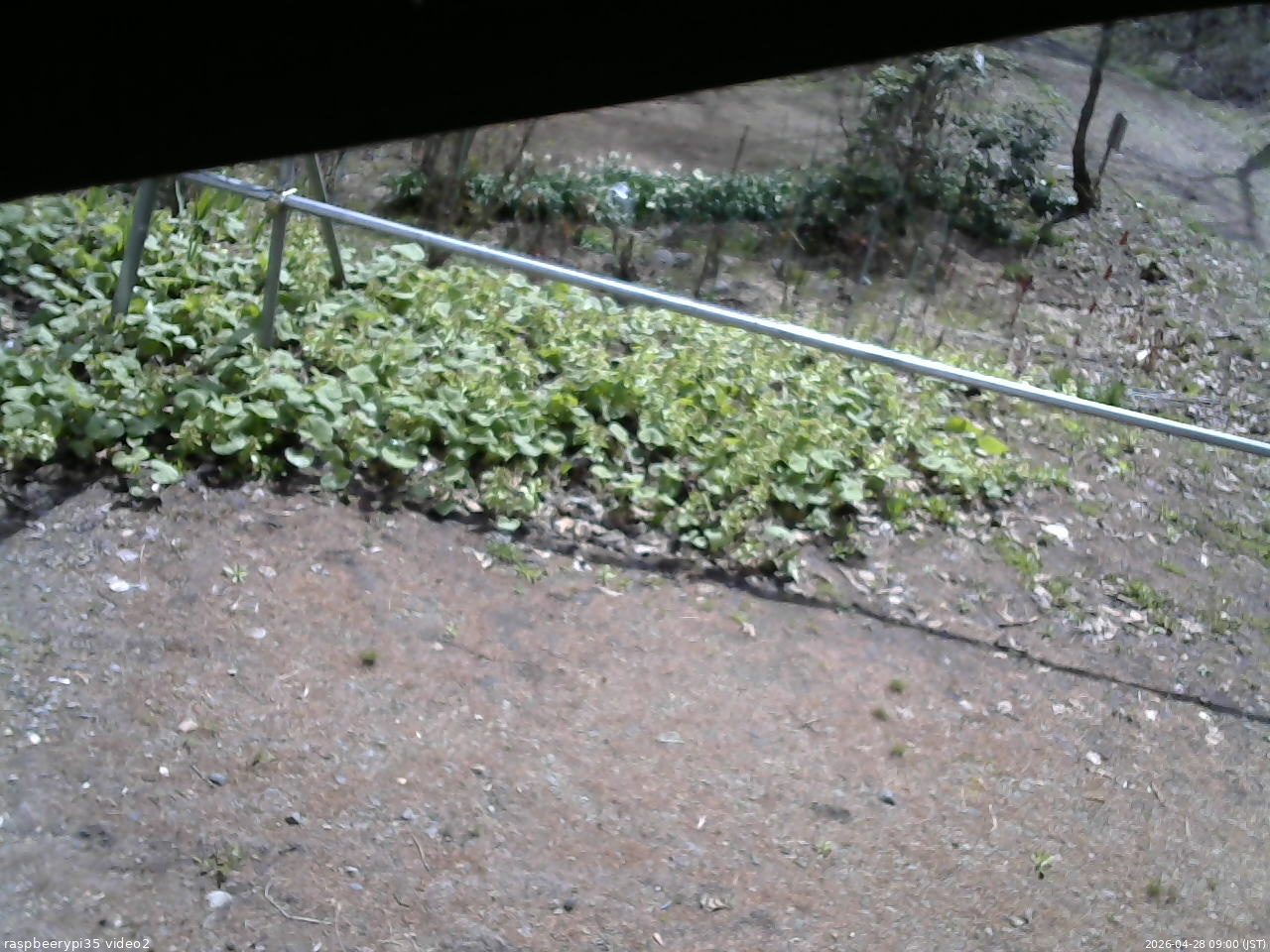 長野県菅平高原 ゆたか山荘 駐車場 2026/04/28 09:00