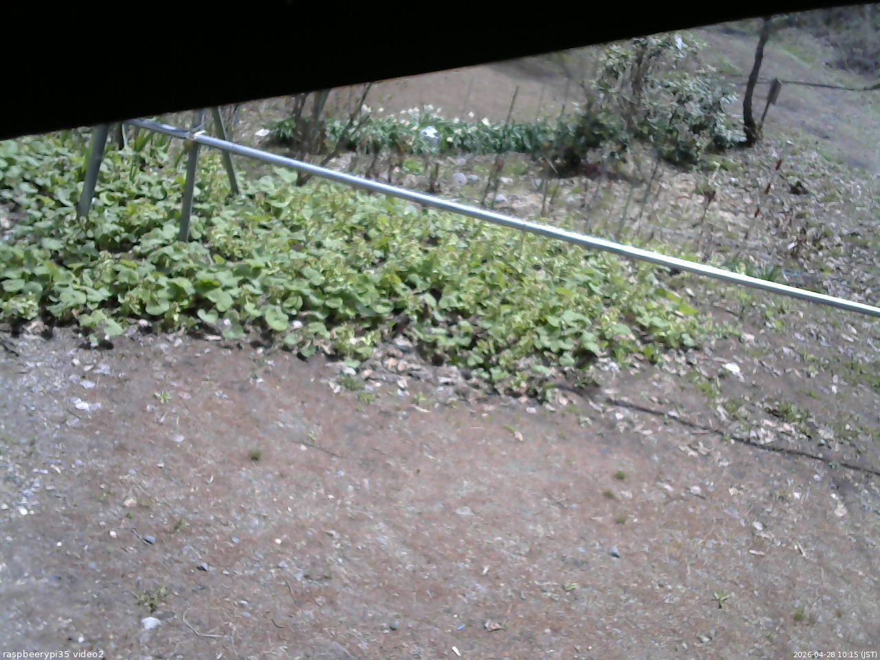 長野県菅平高原 ゆたか山荘 駐車場 2026/04/28 10:15