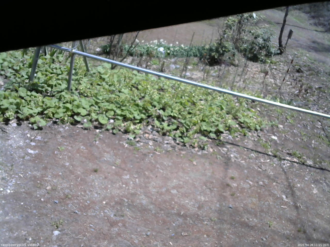 長野県菅平高原 ゆたか山荘 駐車場 2026/04/28 11:15