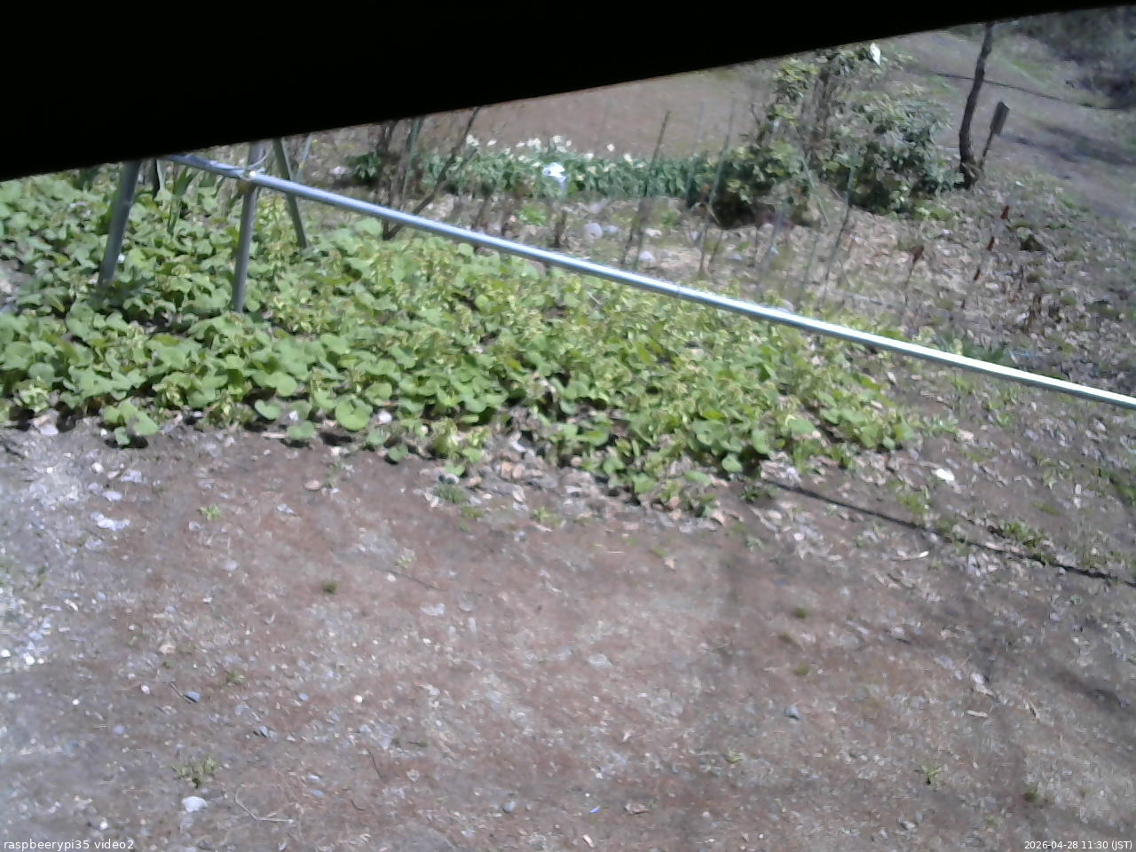 長野県菅平高原 ゆたか山荘 駐車場 2026/04/28 11:30
