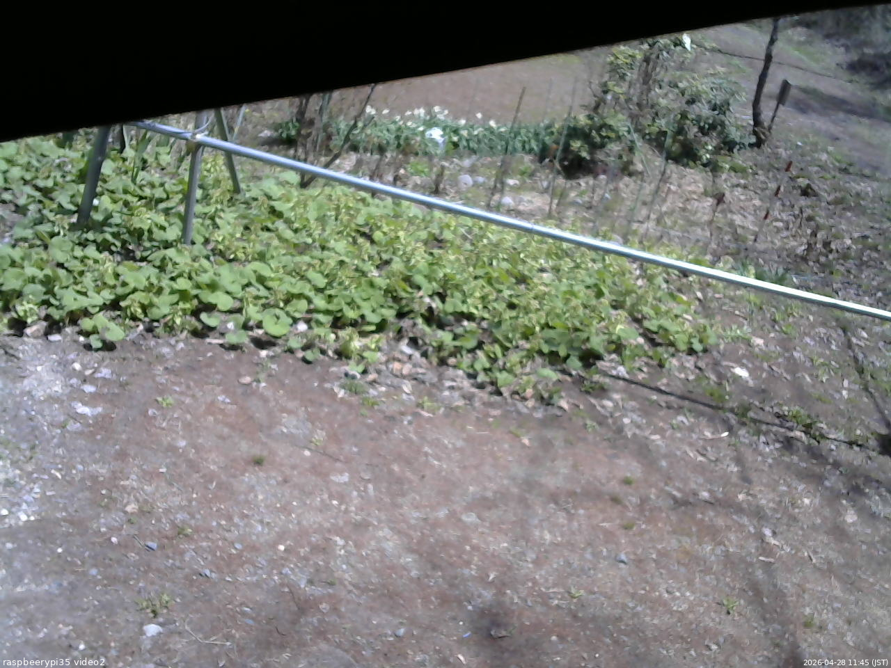 長野県菅平高原 ゆたか山荘 駐車場 2026/04/28 11:45