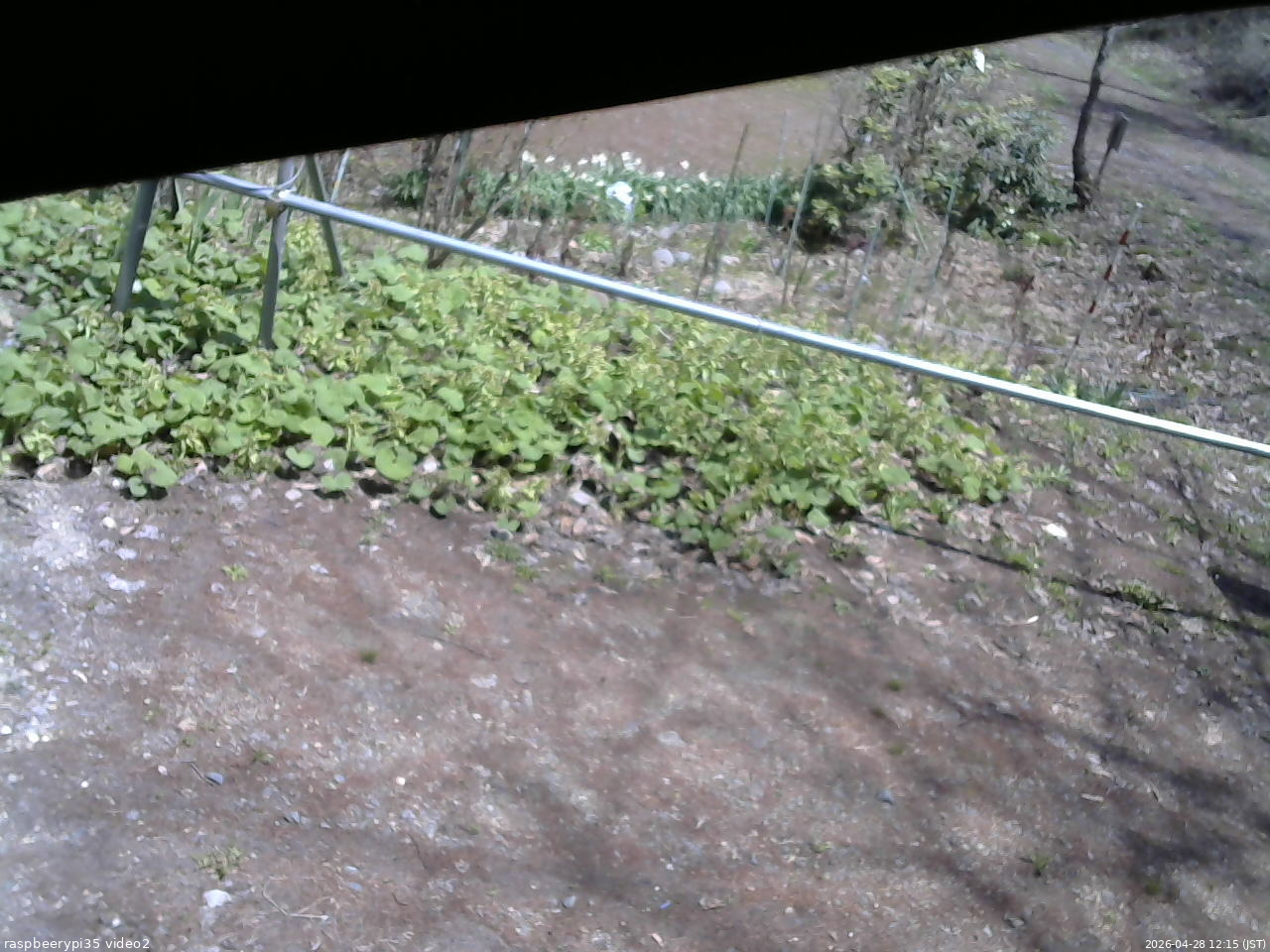 長野県菅平高原 ゆたか山荘 駐車場 2026/04/28 12:15