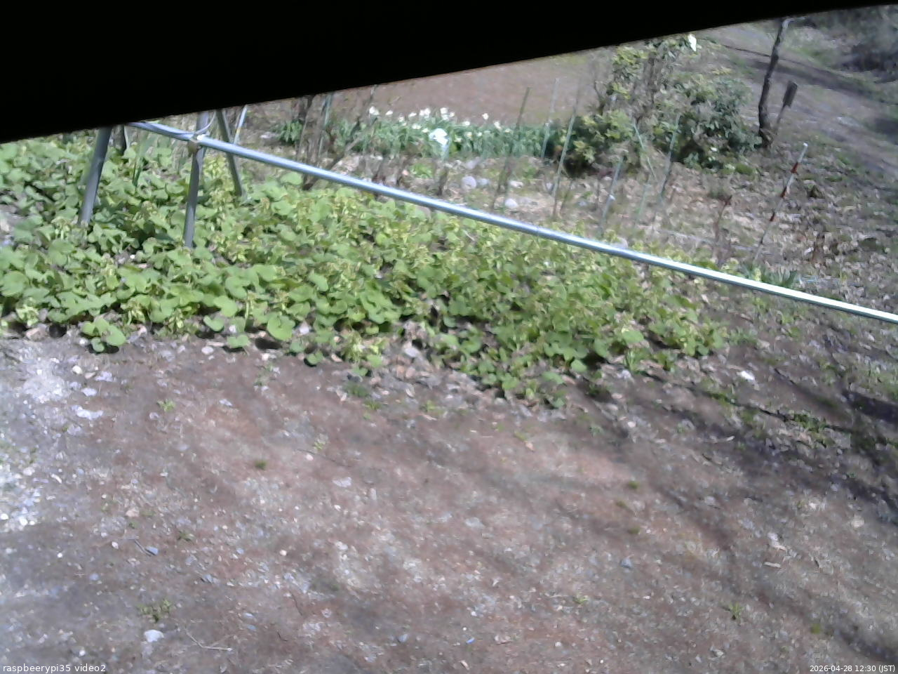 長野県菅平高原 ゆたか山荘 駐車場 2026/04/28 12:30