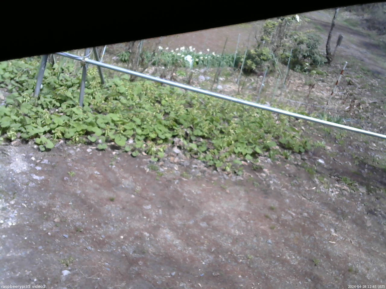 長野県菅平高原 ゆたか山荘 駐車場 2026/04/28 12:45