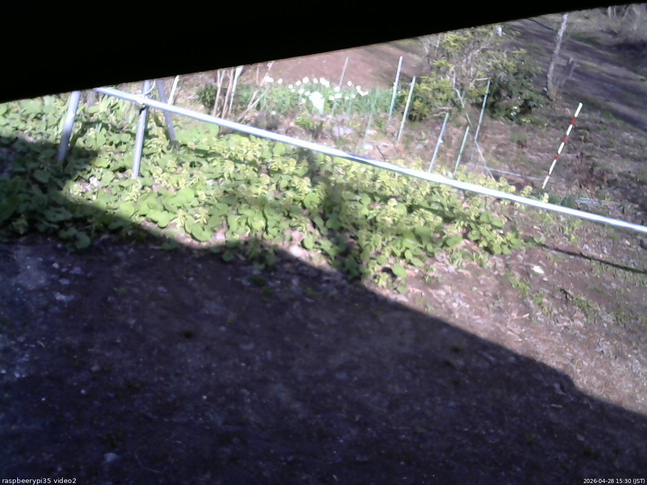 長野県菅平高原 ゆたか山荘 駐車場 2026/04/28 15:30