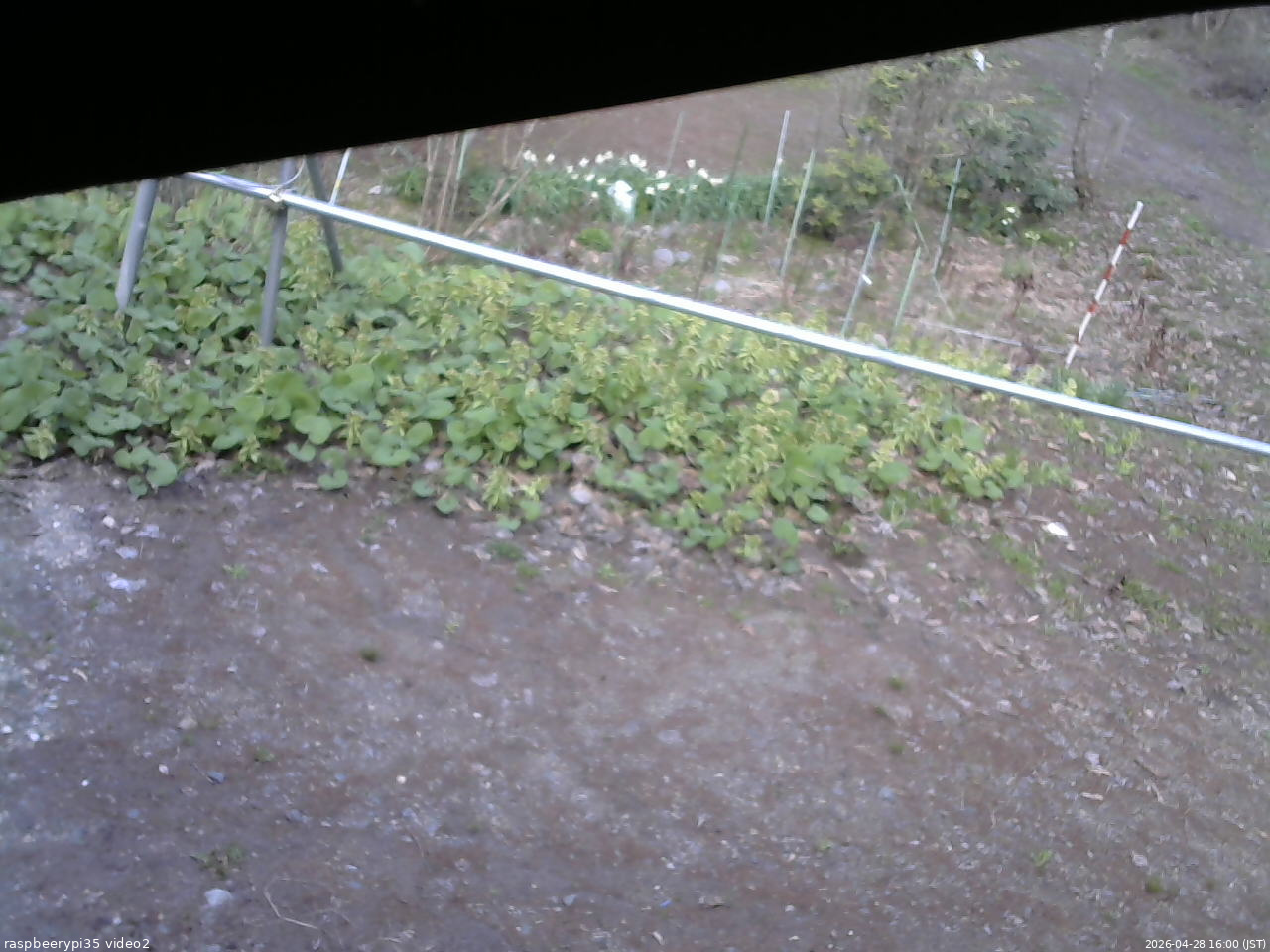 長野県菅平高原 ゆたか山荘 駐車場 2026/04/28 16:00