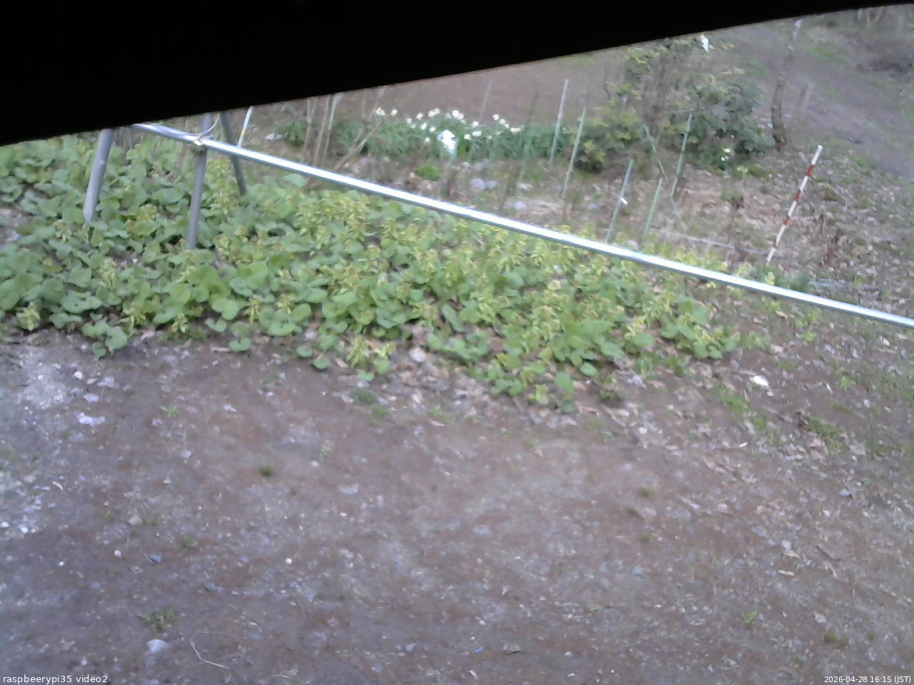 長野県菅平高原 ゆたか山荘 駐車場 2026/04/28 16:15