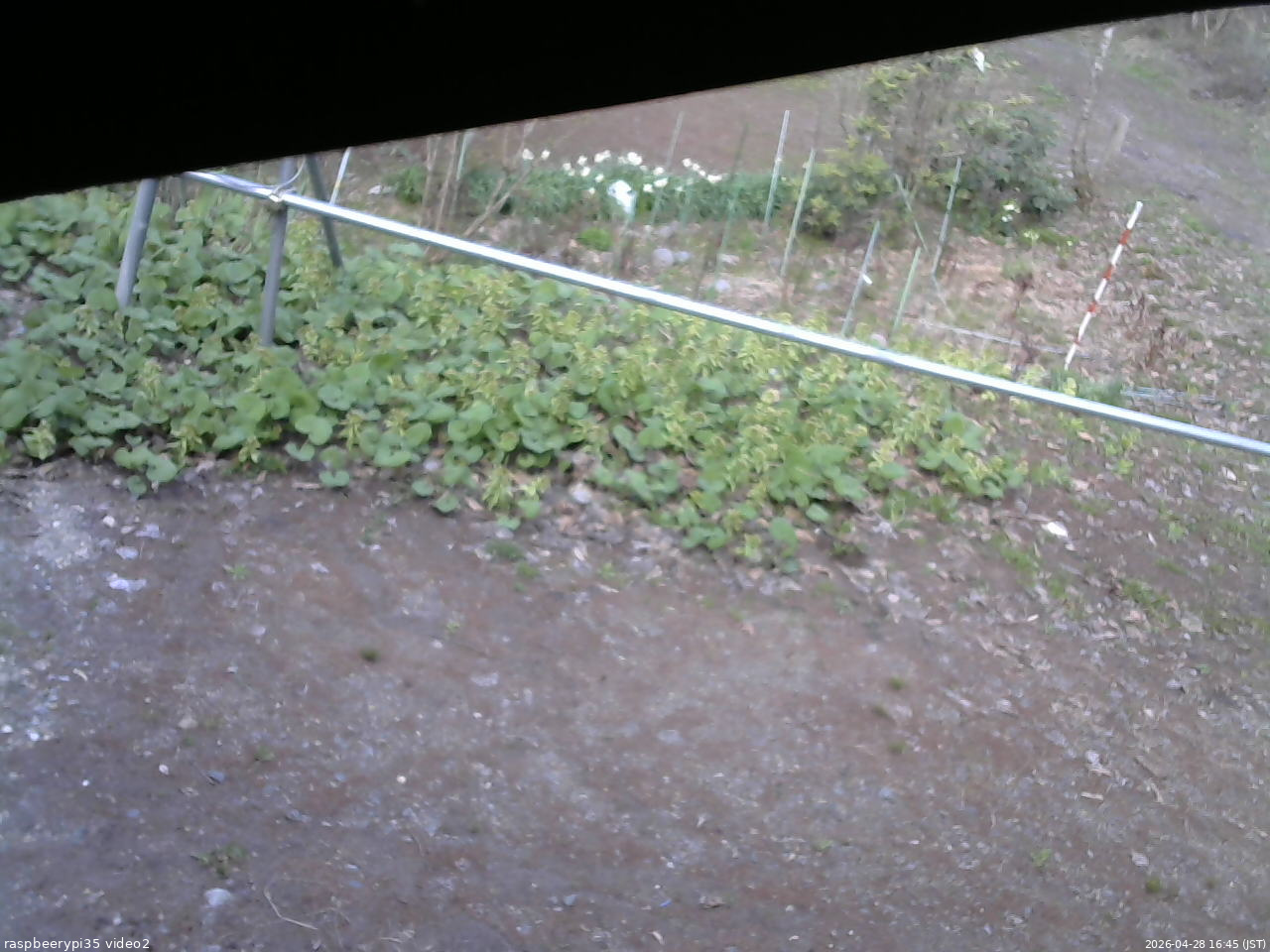長野県菅平高原 ゆたか山荘 駐車場 2026/04/28 16:45