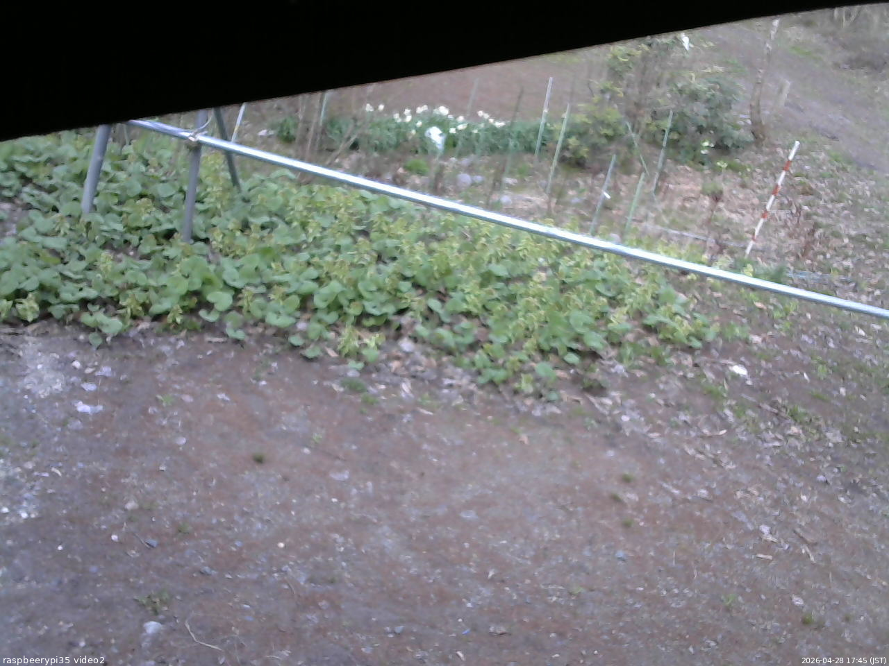 長野県菅平高原 ゆたか山荘 駐車場 2026/04/28 17:45