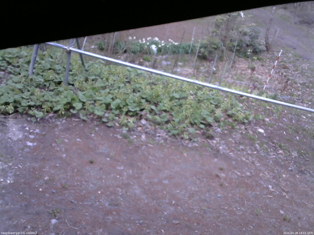 長野県菅平高原 ゆたか山荘 駐車場 2026/04/28 18:15