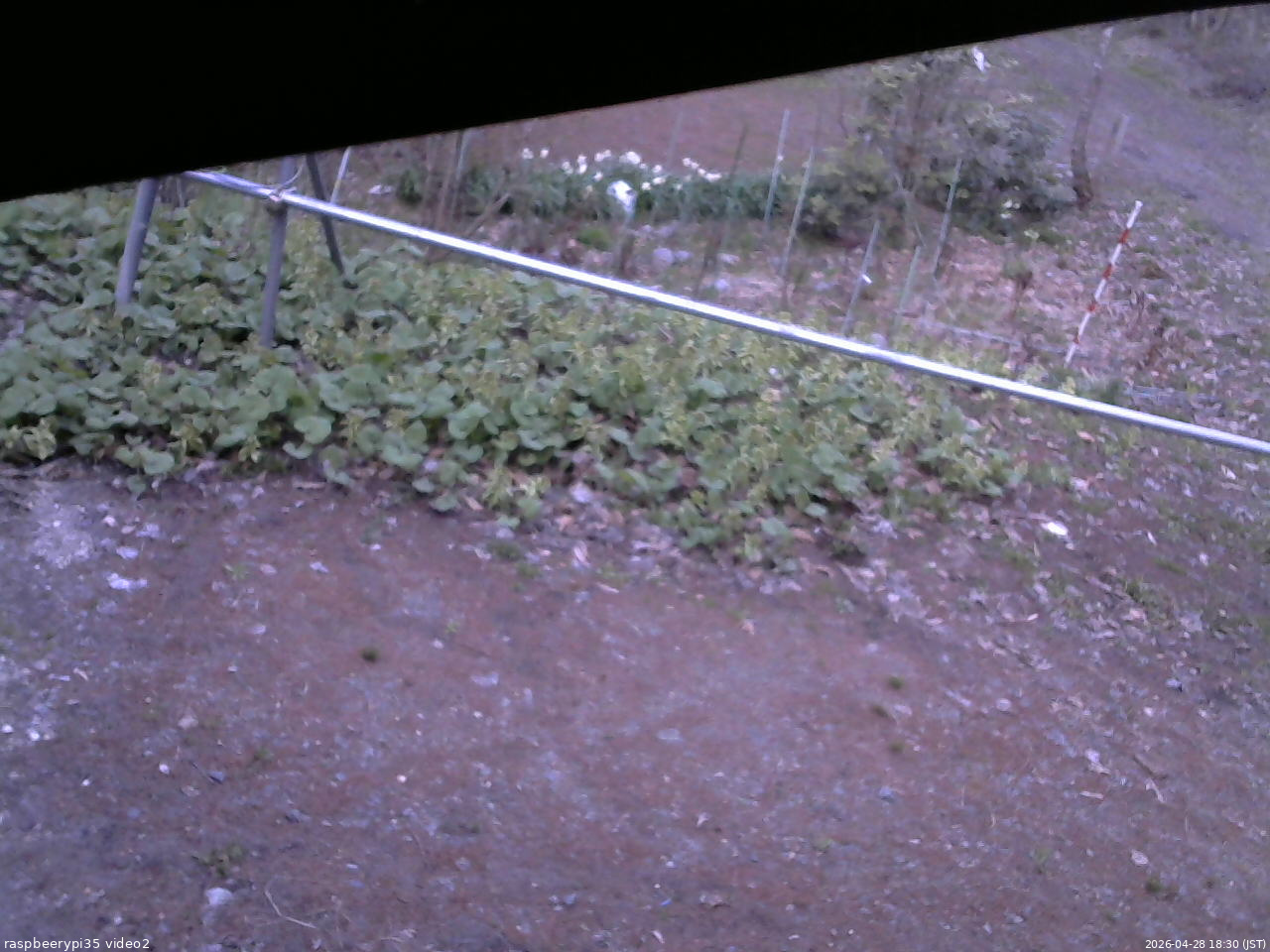 長野県菅平高原 ゆたか山荘 駐車場 2026/04/28 18:30