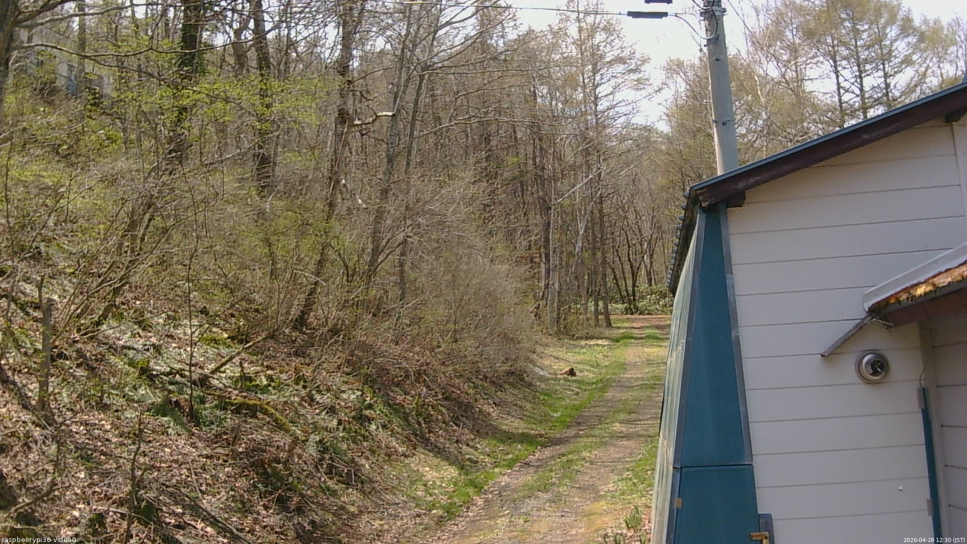長野県菅平高原 ゆたか山荘 ゆたか山荘 2026/04/28 12:30