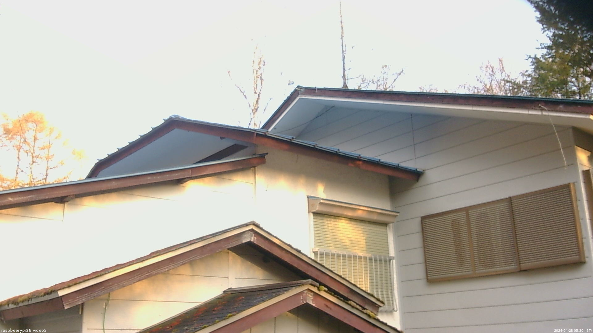長野県菅平高原 ゆたか山荘 駐車場奥 2026/04/28 05:30