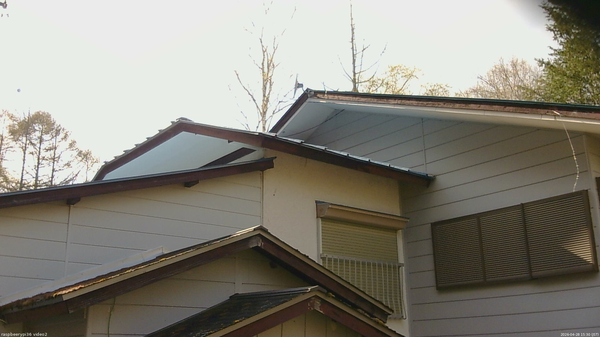 長野県菅平高原 ゆたか山荘 駐車場奥 2026/04/28 15:30
