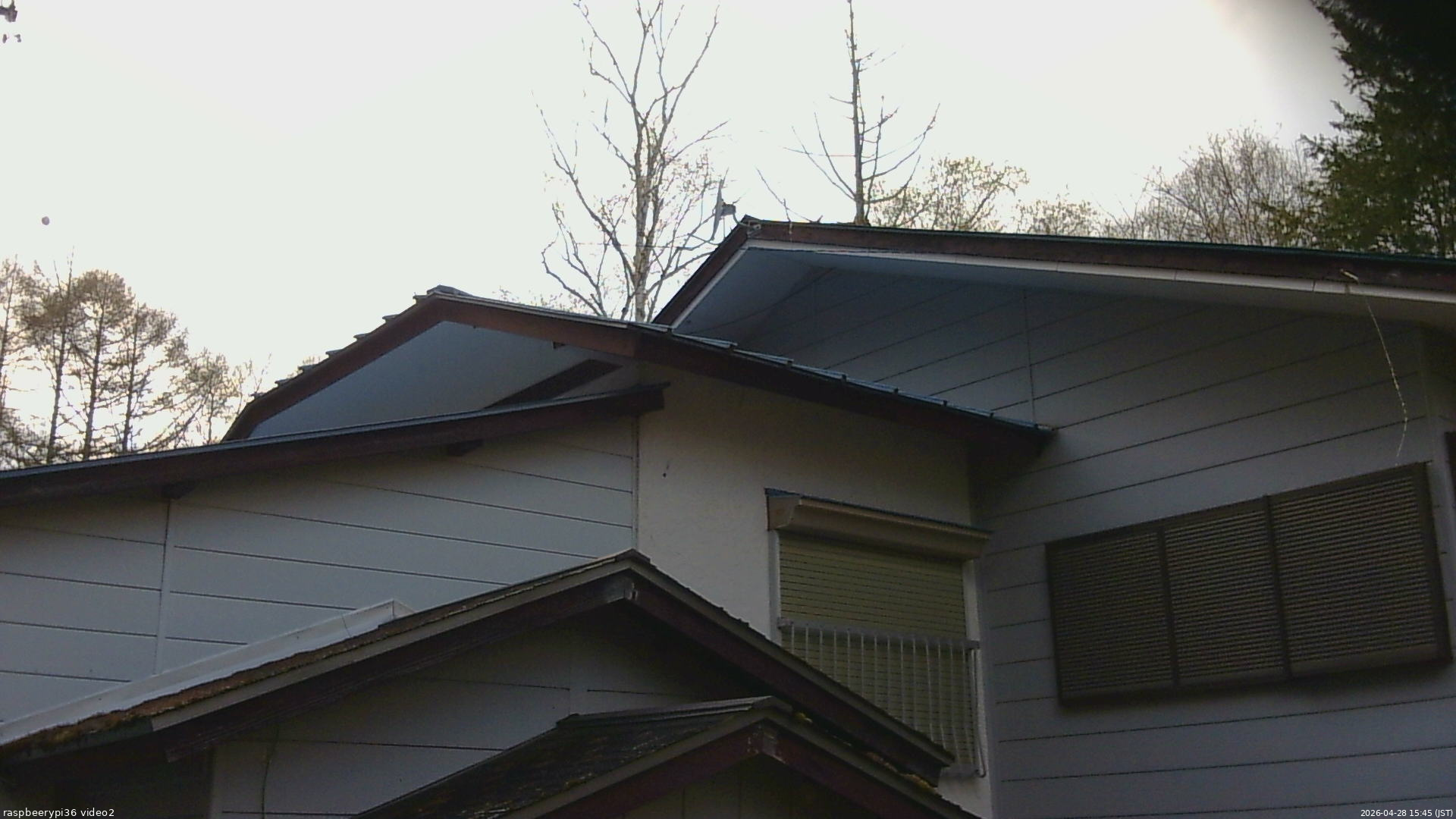 長野県菅平高原 ゆたか山荘 駐車場奥 2026/04/28 15:45