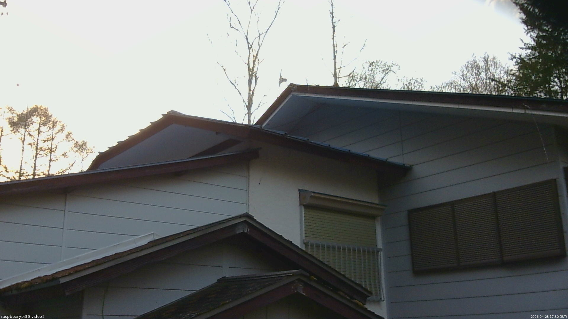 長野県菅平高原 ゆたか山荘 駐車場奥 2026/04/28 17:30