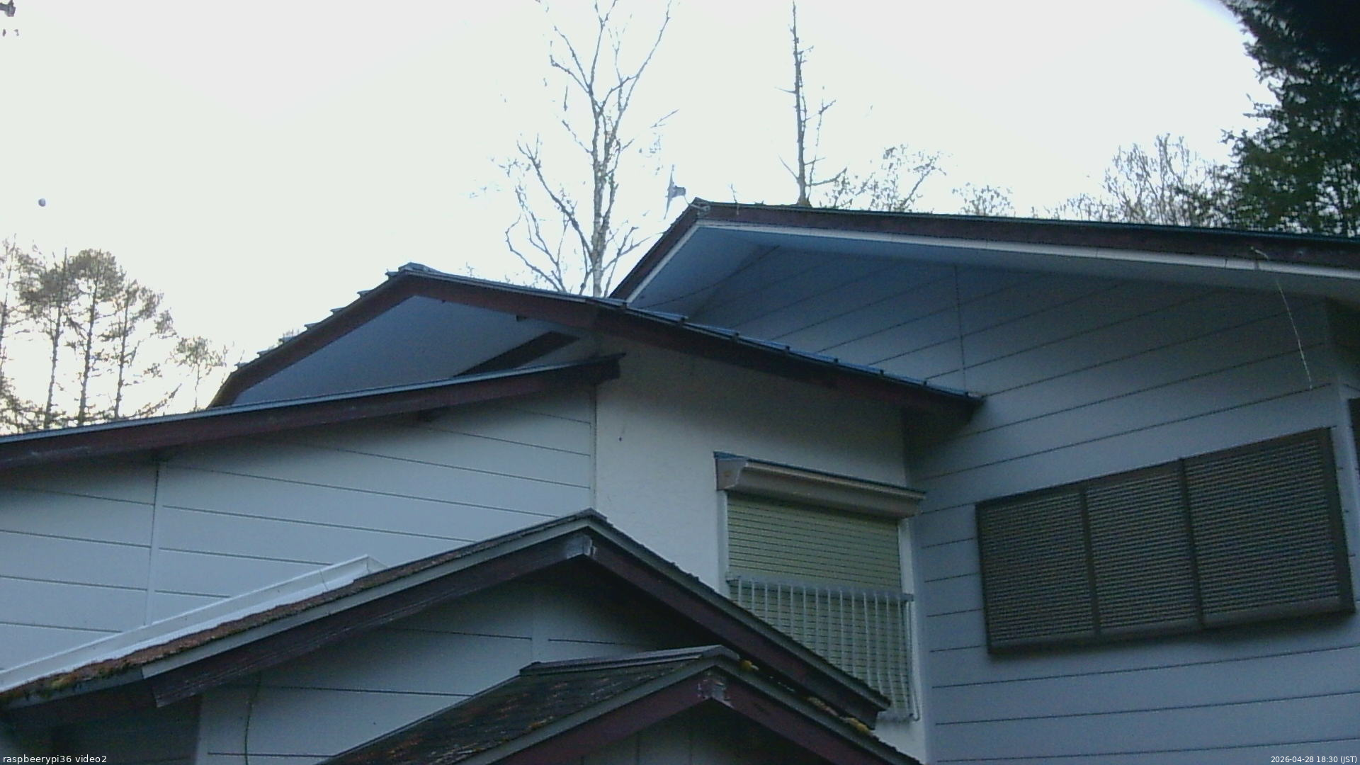 長野県菅平高原 ゆたか山荘 駐車場奥 2026/04/28 18:30