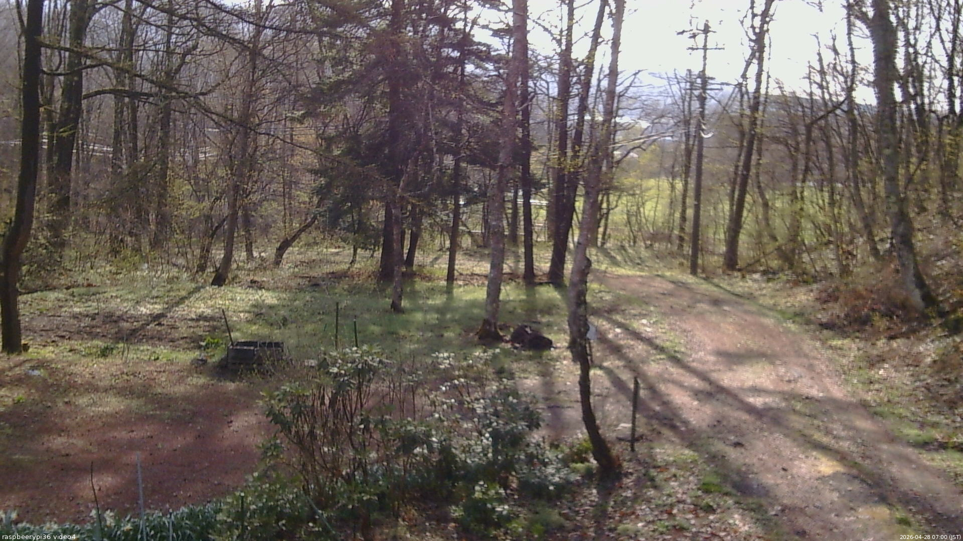 長野県菅平高原 ゆたか山荘 坂上 2026/04/28 07:00