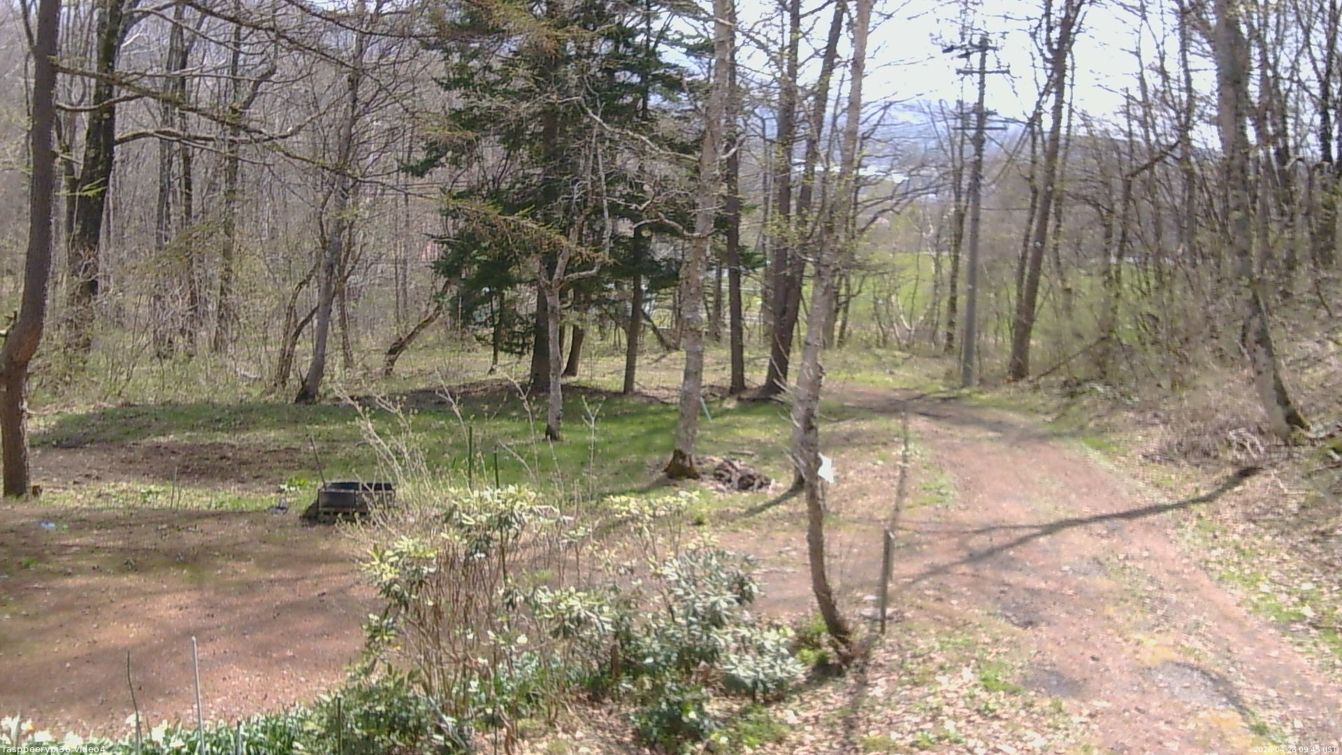 長野県菅平高原 ゆたか山荘 坂上 2026/04/28 09:45