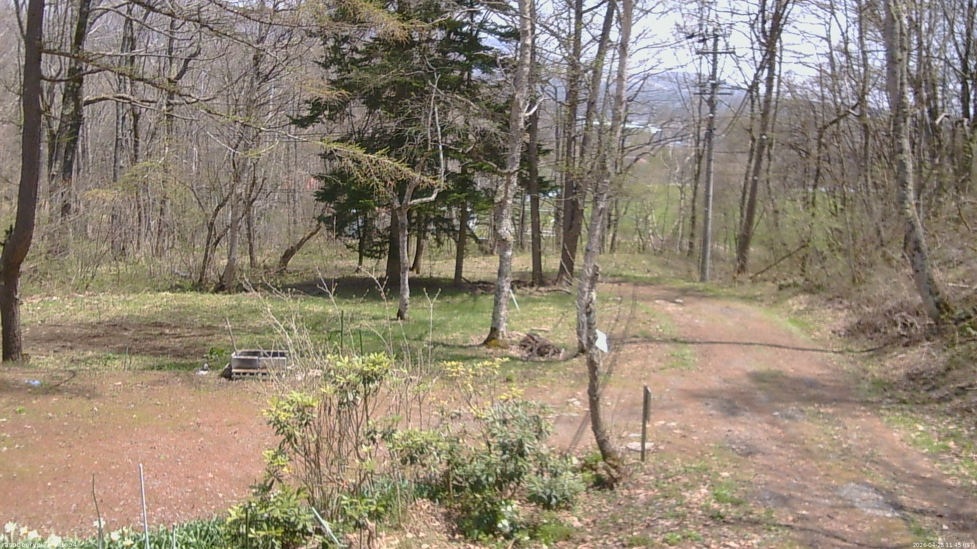 長野県菅平高原 ゆたか山荘 坂上 2026/04/28 11:45