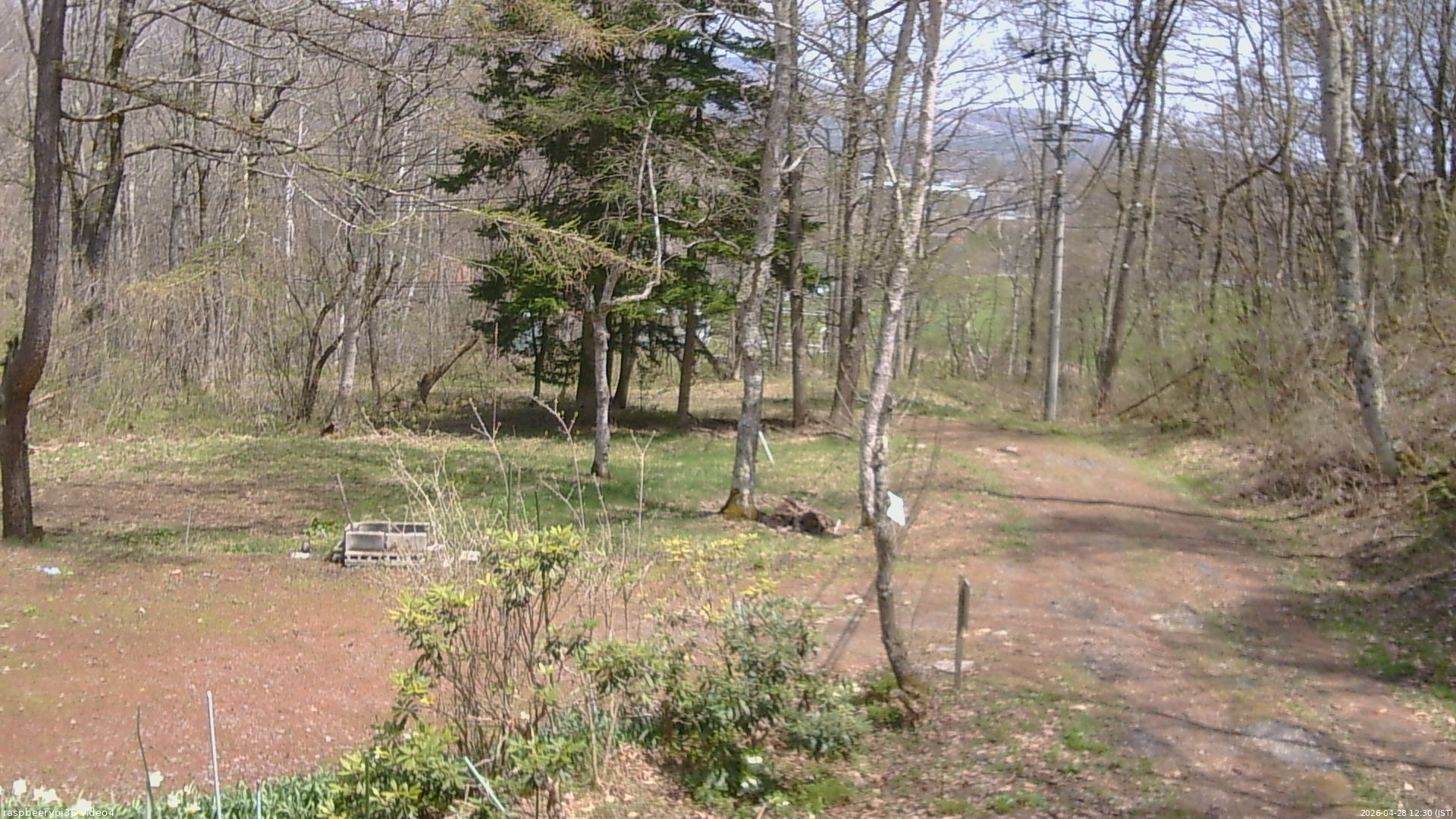 長野県菅平高原 ゆたか山荘 坂上 2026/04/28 12:30